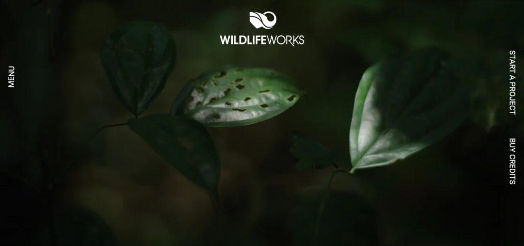 Wildlife Works