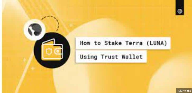 Terra Wallet by Everstake