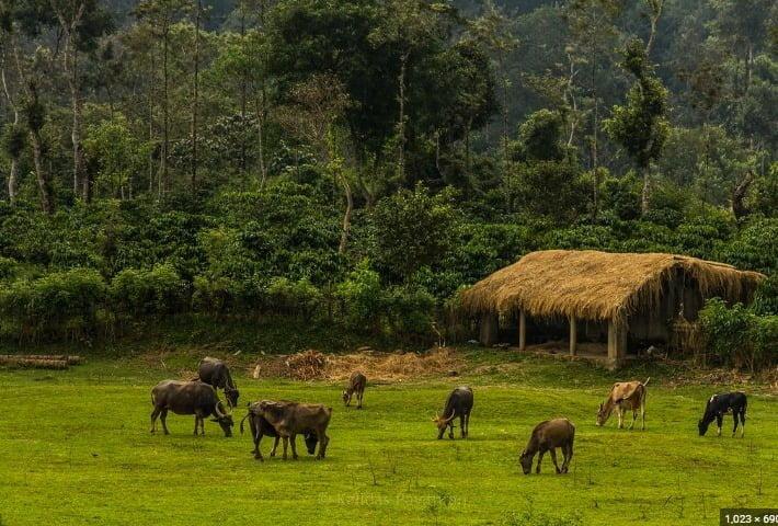 Coorg