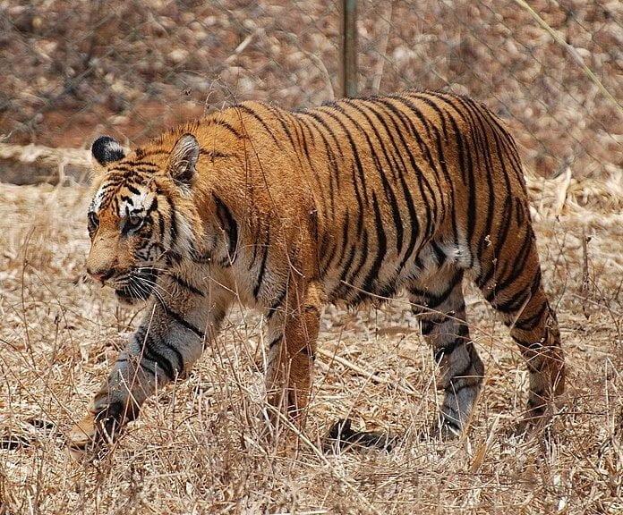 Nagarhole National Park