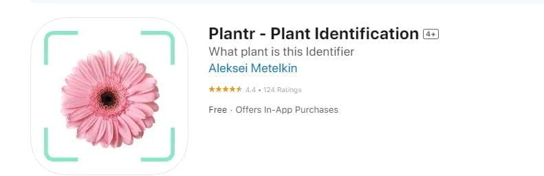 Plantr - Plant Identification