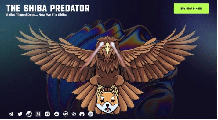 24.Shiba Predator