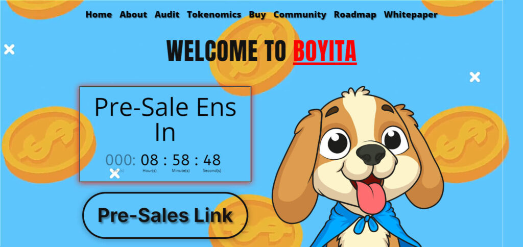 Boyita ($BOYITA) Best Meme Coin Presales