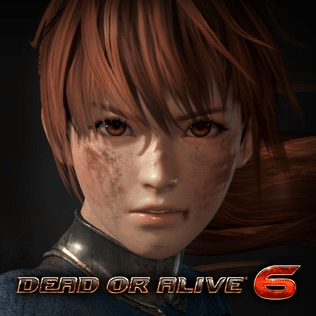 ead or Alive 6  Best Fighting Games To Play