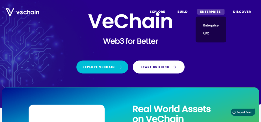 VeChain (VET) Best Alternatives To Bitcoin